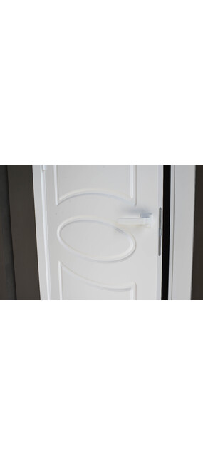 Двері міжкімнатні DOORIS CLASSIC C01 /RAL  1013/, 855x2137. Номер 3