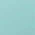 RAL 6027
