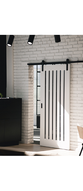 Двері розсувні Erkado Epimedium 1 Білий, 844x2170. Номер 0