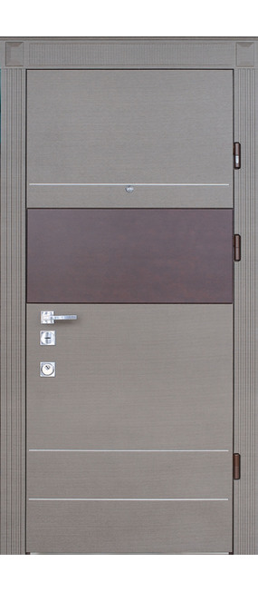 Двері вхідні Straj Bravis Plus *Дуб шале графіт*, 850x2040. Номер 2