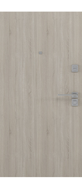 Двері вхідні RODOS Basic BAZ 002 /зовн.-внутр.: бетон антрацит-дуб сонома/, 880*2050. Номер 1
